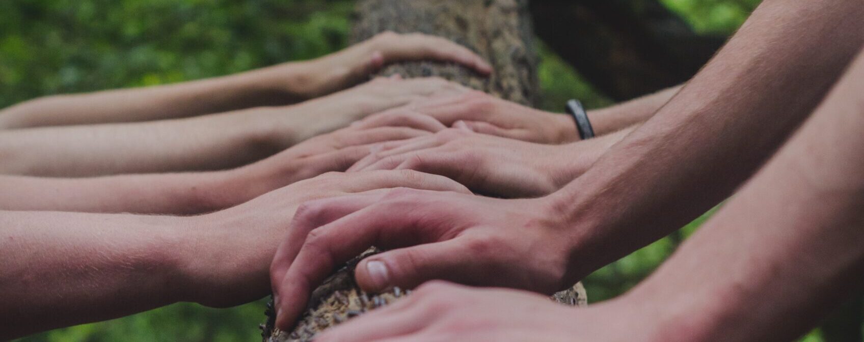 What is this tool’s potential for collaboration?